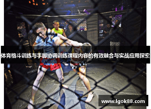 体育格斗训练与手脚协调训练课程内容的有效融合与实战应用探索